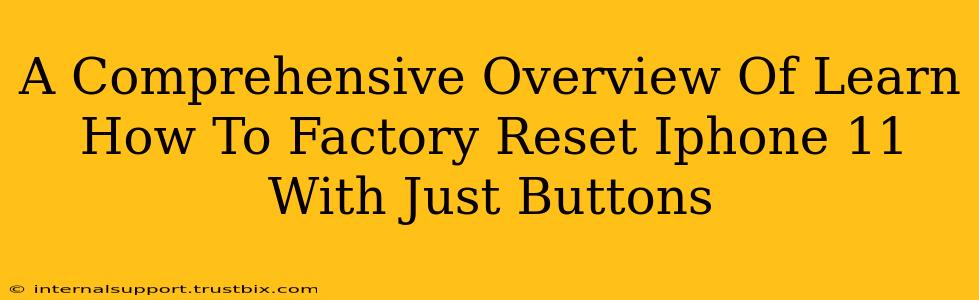 A Comprehensive Overview Of Learn How To Factory Reset Iphone 11 With Just Buttons