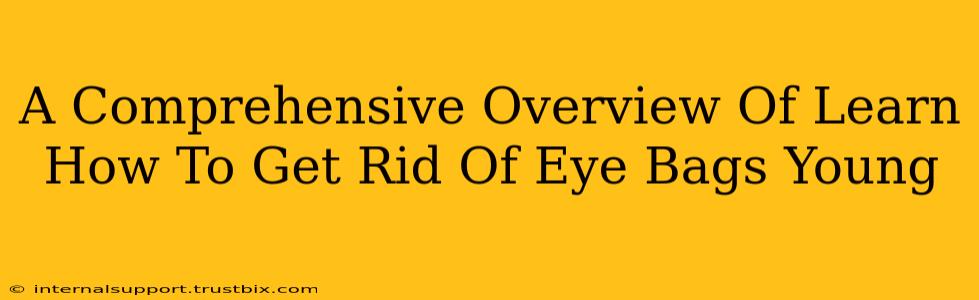 A Comprehensive Overview Of Learn How To Get Rid Of Eye Bags Young