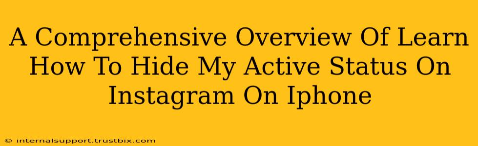 A Comprehensive Overview Of Learn How To Hide My Active Status On Instagram On Iphone