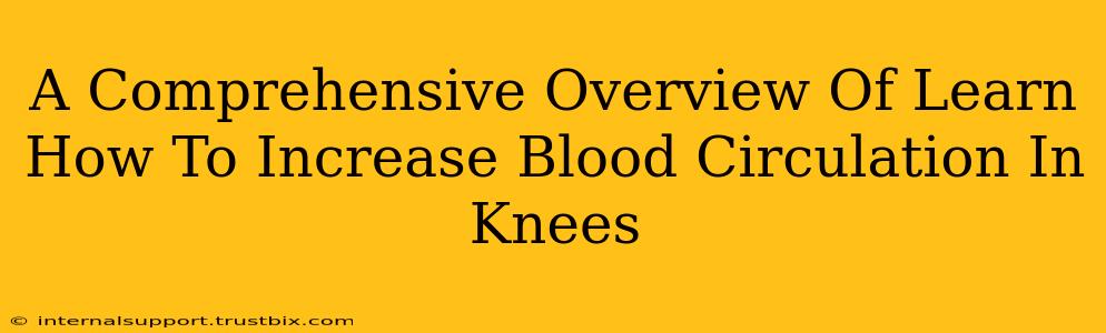 A Comprehensive Overview Of Learn How To Increase Blood Circulation In Knees