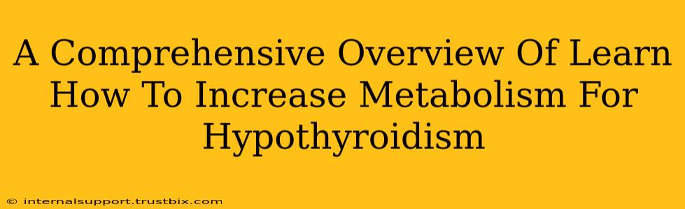 A Comprehensive Overview Of Learn How To Increase Metabolism For Hypothyroidism