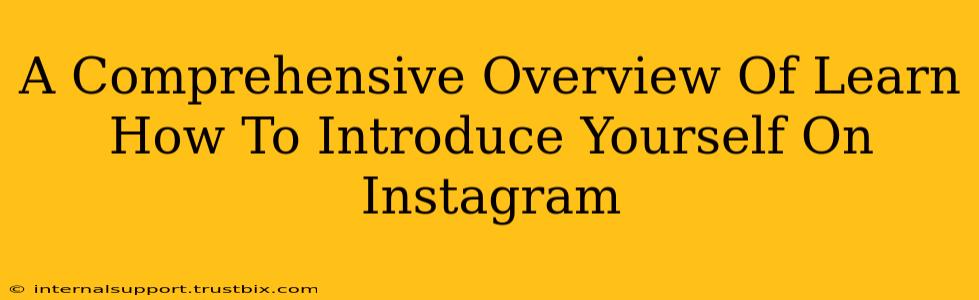 A Comprehensive Overview Of Learn How To Introduce Yourself On Instagram