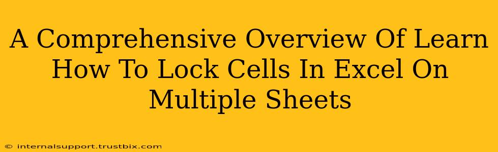 A Comprehensive Overview Of Learn How To Lock Cells In Excel On Multiple Sheets