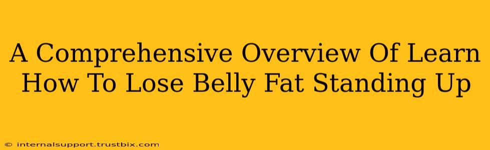 A Comprehensive Overview Of Learn How To Lose Belly Fat Standing Up