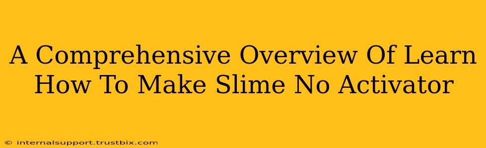 A Comprehensive Overview Of Learn How To Make Slime No Activator