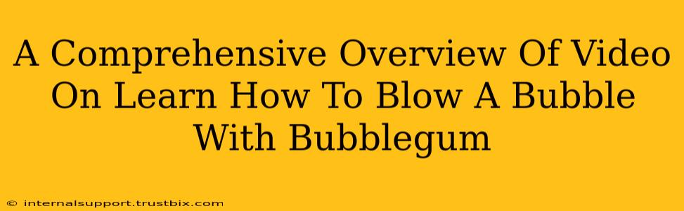 A Comprehensive Overview Of Video On Learn How To Blow A Bubble With Bubblegum