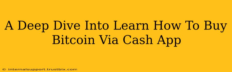 A Deep Dive Into Learn How To Buy Bitcoin Via Cash App