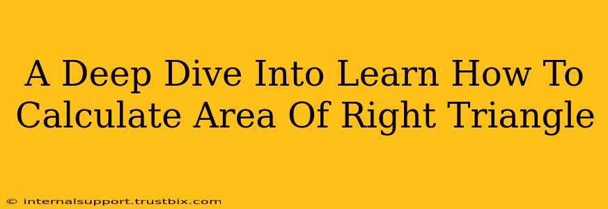 A Deep Dive Into Learn How To Calculate Area Of Right Triangle