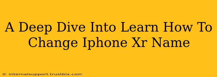 A Deep Dive Into Learn How To Change Iphone Xr Name