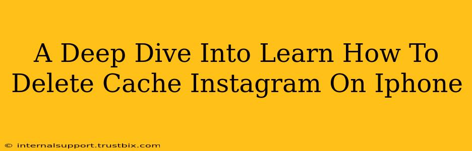 A Deep Dive Into Learn How To Delete Cache Instagram On Iphone