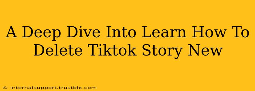 A Deep Dive Into Learn How To Delete Tiktok Story New