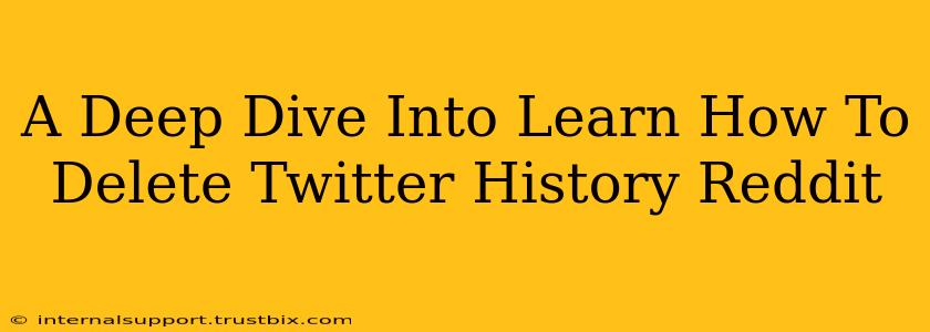 A Deep Dive Into Learn How To Delete Twitter History Reddit