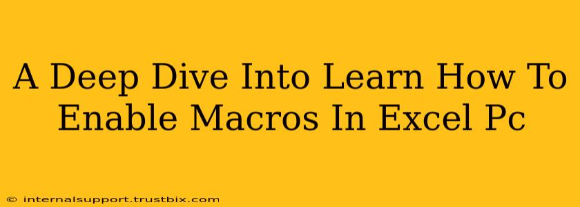 A Deep Dive Into Learn How To Enable Macros In Excel Pc