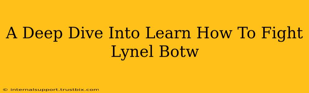 A Deep Dive Into Learn How To Fight Lynel Botw