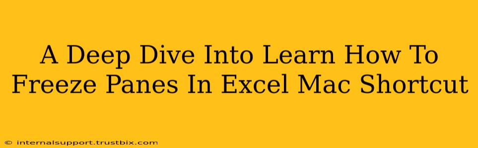 A Deep Dive Into Learn How To Freeze Panes In Excel Mac Shortcut