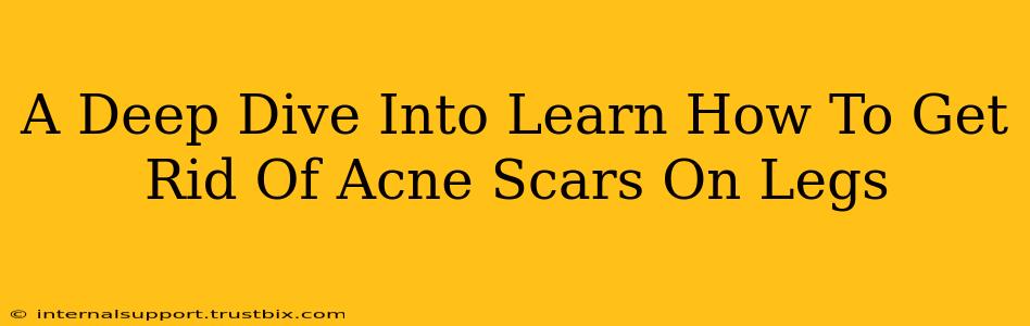 A Deep Dive Into Learn How To Get Rid Of Acne Scars On Legs