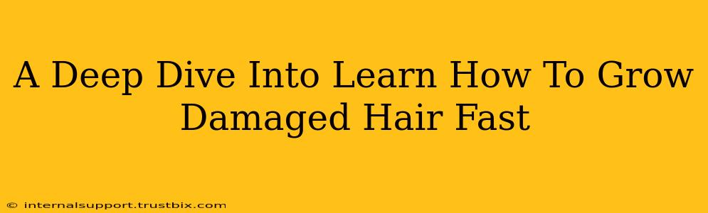 A Deep Dive Into Learn How To Grow Damaged Hair Fast