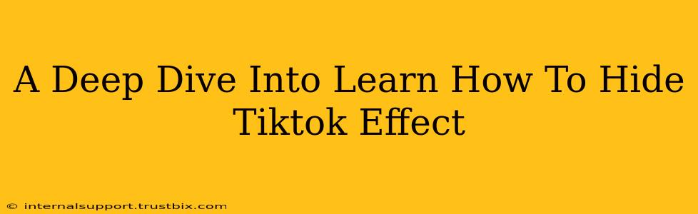 A Deep Dive Into Learn How To Hide Tiktok Effect