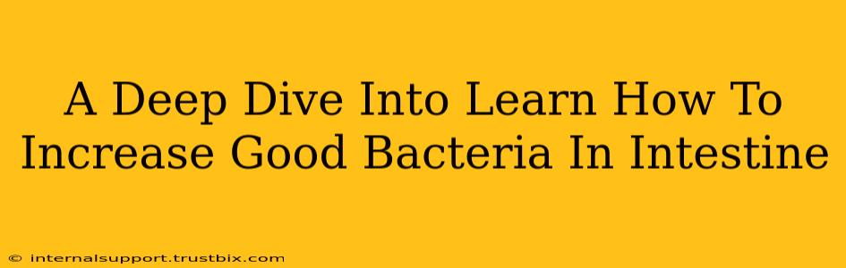 A Deep Dive Into Learn How To Increase Good Bacteria In Intestine