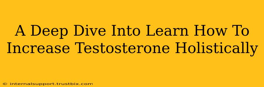 A Deep Dive Into Learn How To Increase Testosterone Holistically