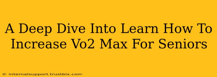 A Deep Dive Into Learn How To Increase Vo2 Max For Seniors