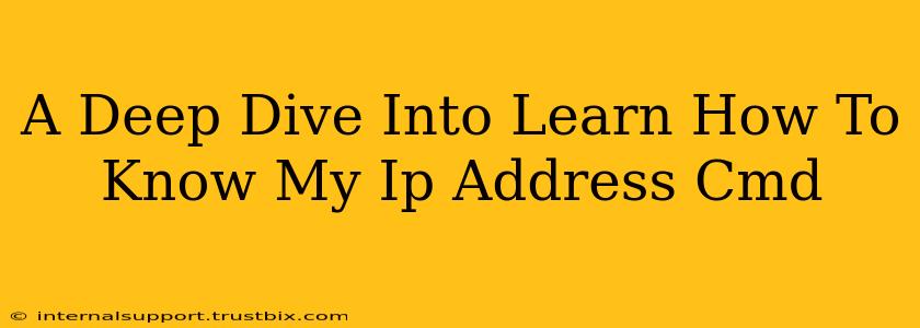 A Deep Dive Into Learn How To Know My Ip Address Cmd