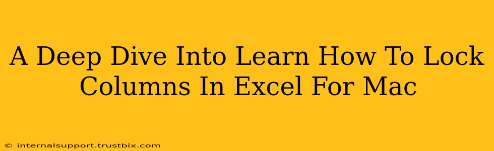 A Deep Dive Into Learn How To Lock Columns In Excel For Mac