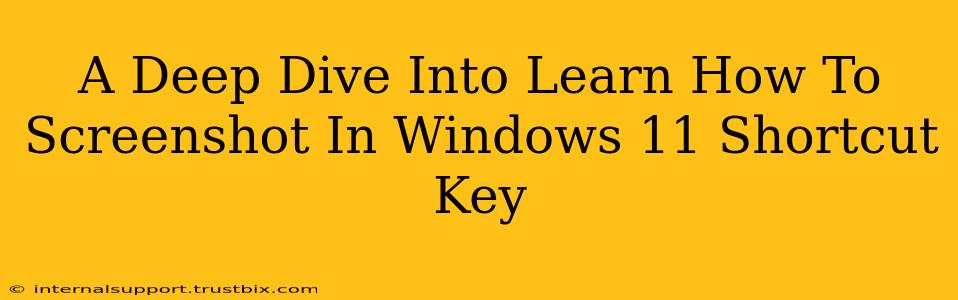 A Deep Dive Into Learn How To Screenshot In Windows 11 Shortcut Key