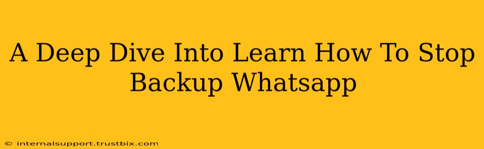 A Deep Dive Into Learn How To Stop Backup Whatsapp