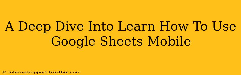 A Deep Dive Into Learn How To Use Google Sheets Mobile