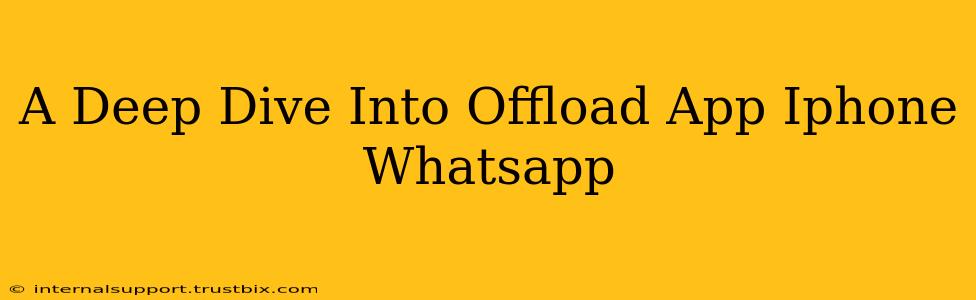 A Deep Dive Into Offload App Iphone Whatsapp