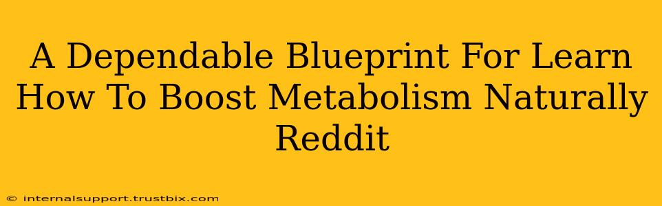 A Dependable Blueprint For Learn How To Boost Metabolism Naturally Reddit