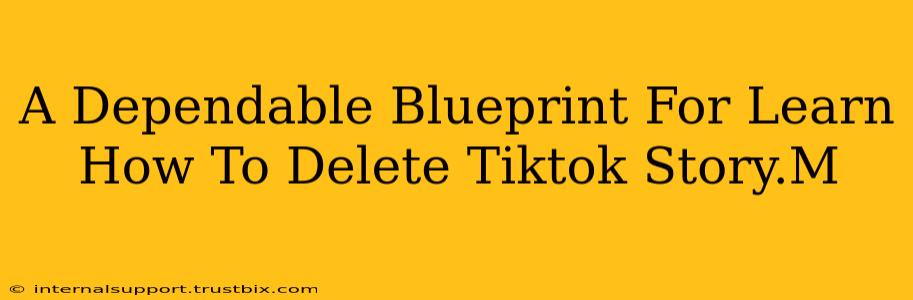 A Dependable Blueprint For Learn How To Delete Tiktok Story.M