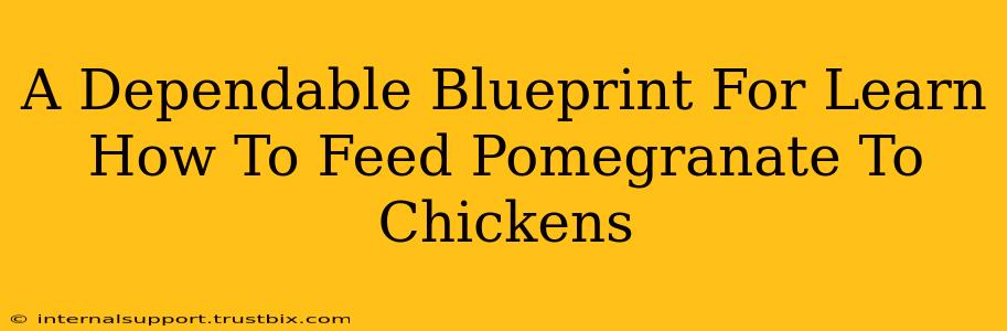 A Dependable Blueprint For Learn How To Feed Pomegranate To Chickens