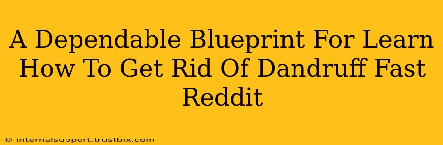 A Dependable Blueprint For Learn How To Get Rid Of Dandruff Fast Reddit