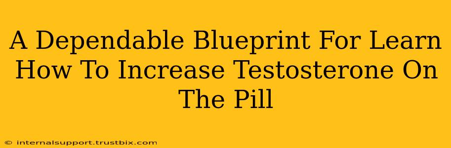 A Dependable Blueprint For Learn How To Increase Testosterone On The Pill