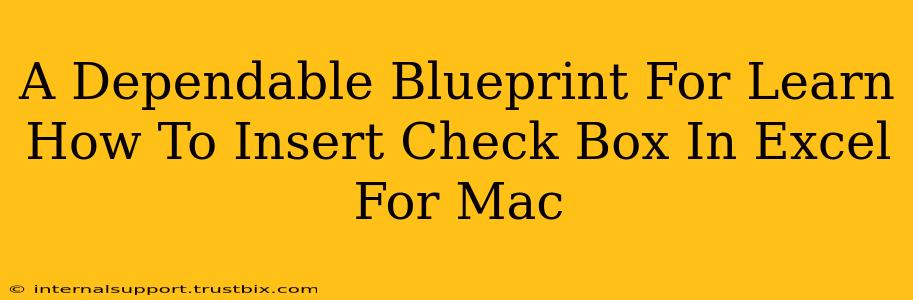 A Dependable Blueprint For Learn How To Insert Check Box In Excel For Mac