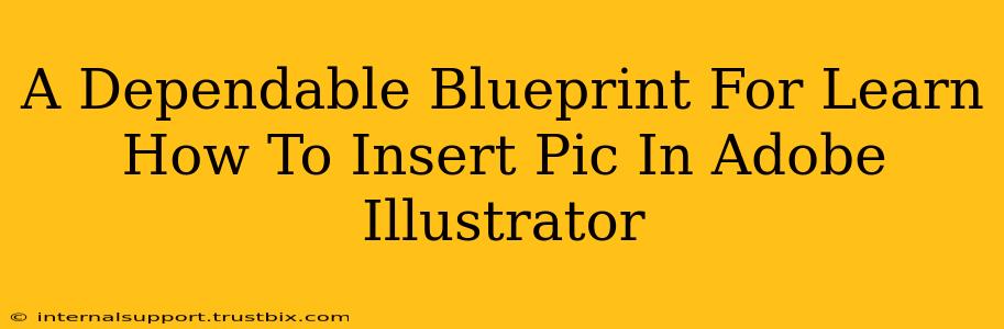 A Dependable Blueprint For Learn How To Insert Pic In Adobe Illustrator