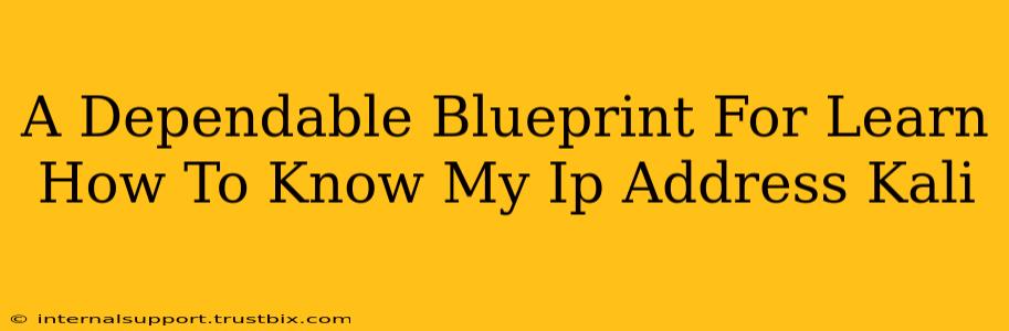 A Dependable Blueprint For Learn How To Know My Ip Address Kali