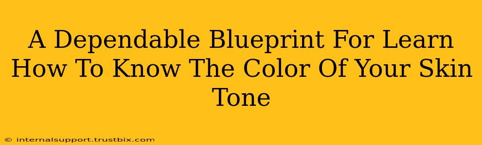 A Dependable Blueprint For Learn How To Know The Color Of Your Skin Tone