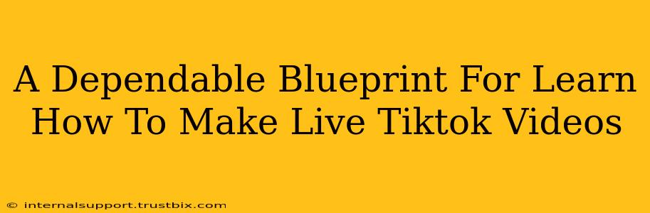 A Dependable Blueprint For Learn How To Make Live Tiktok Videos