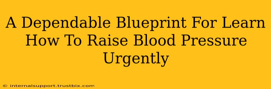 A Dependable Blueprint For Learn How To Raise Blood Pressure Urgently