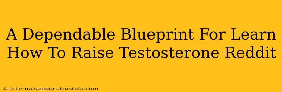 A Dependable Blueprint For Learn How To Raise Testosterone Reddit