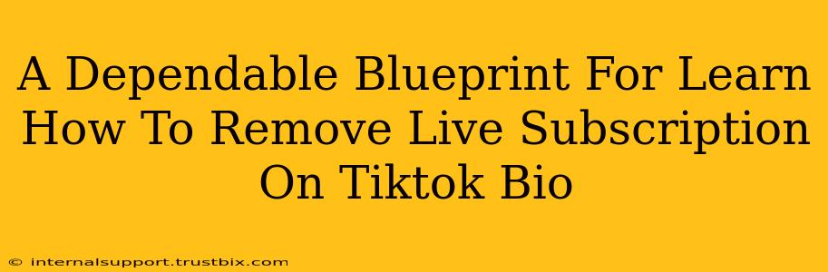 A Dependable Blueprint For Learn How To Remove Live Subscription On Tiktok Bio