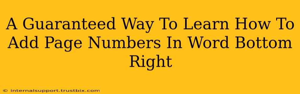 A Guaranteed Way To Learn How To Add Page Numbers In Word Bottom Right