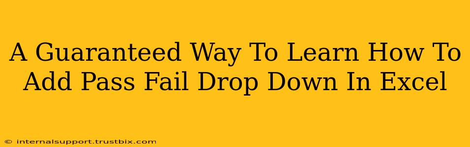 A Guaranteed Way To Learn How To Add Pass Fail Drop Down In Excel