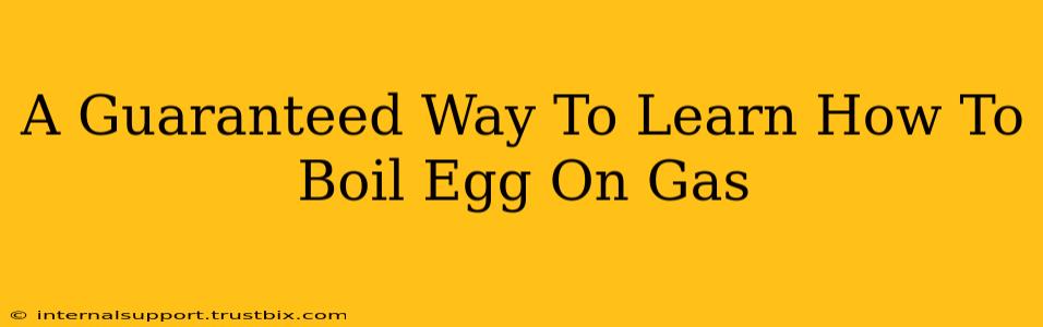 A Guaranteed Way To Learn How To Boil Egg On Gas