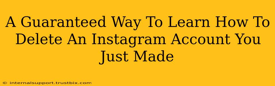 A Guaranteed Way To Learn How To Delete An Instagram Account You Just Made