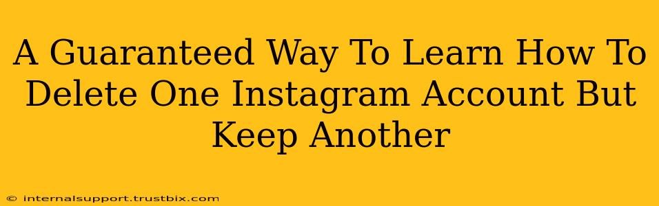 A Guaranteed Way To Learn How To Delete One Instagram Account But Keep Another