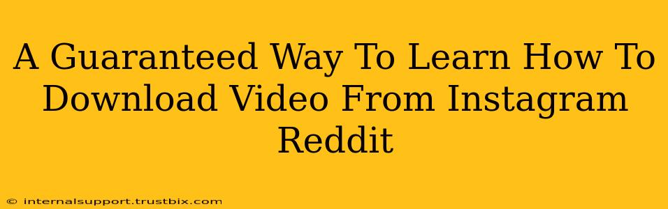 A Guaranteed Way To Learn How To Download Video From Instagram Reddit